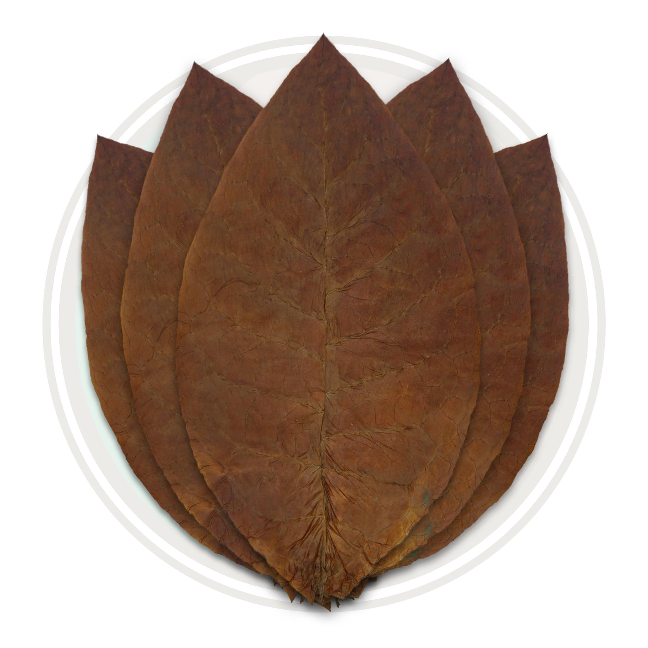 Ecuadorian Habano Viso Cigar Wrapper Whole Tobacco Leaf Cigar Wrapper Whole Tobacco Leaf